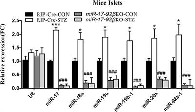 MicroRNA-17-92 Regulates Beta-Cell Restoration After Streptozotocin Treatment